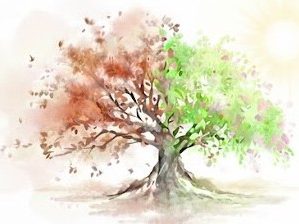 Meine Angebote im Überblick